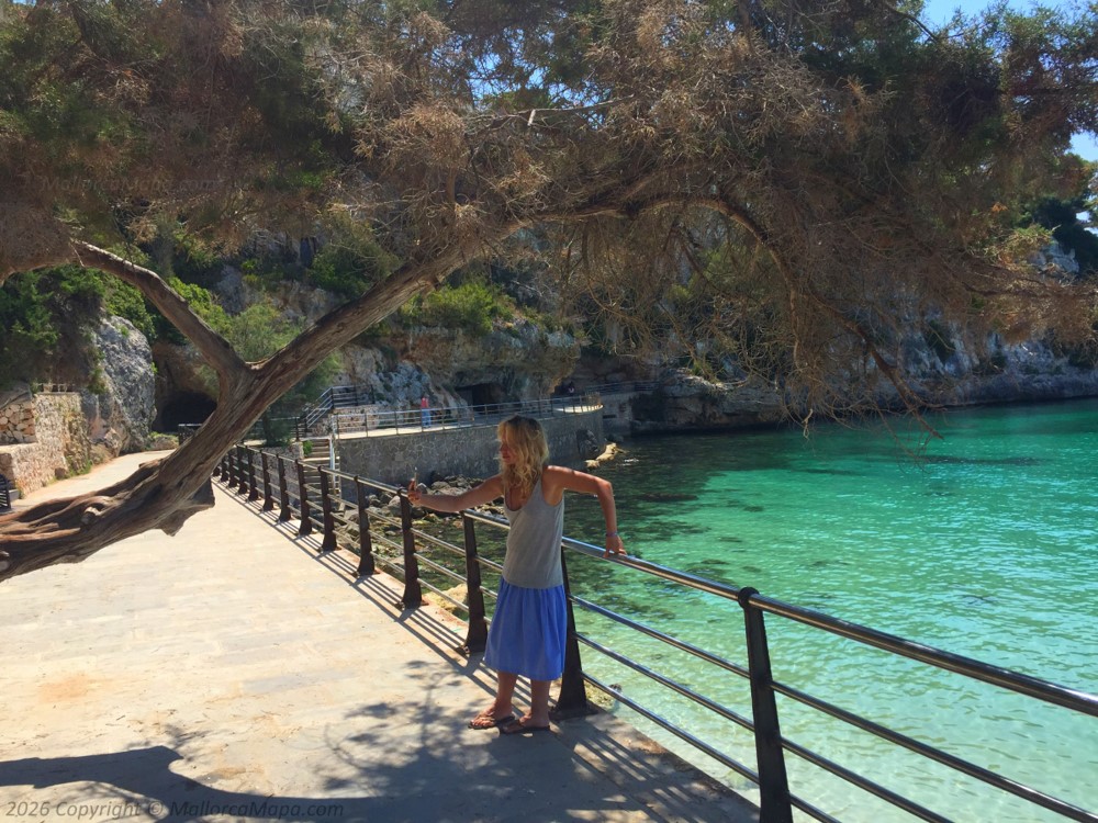 Paseo panorámico a lo largo del puerto de Porto Cristo